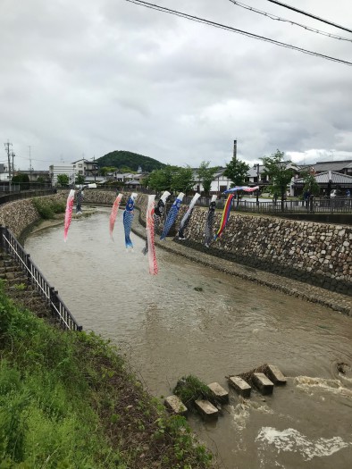 鯉のぼり