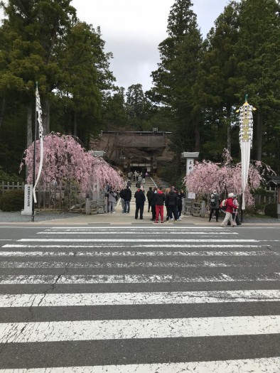 高野山 (3)