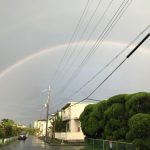 梅雨明けのこの時期に悩まされるお墓の雑草！こんな方法はいかがですか？