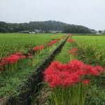 橿原市営香久山墓園で新規お墓が完成しました。最近人気の洋式墓です。