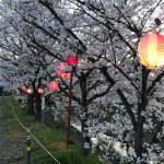 春を感じる季節が到来！京都市内で墓地整地で巻石新区画６区完成しました。