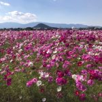 秋の晴天続く中、基礎コンクリート部にお水をかけにまわっています！なんのこと？って思われる方必見です！